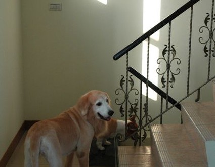 1380943804-3612567285