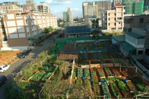 1380943804-4064057965