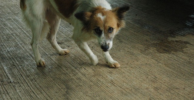 1380943817-1721021743