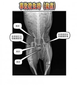 1380943818-2004532057