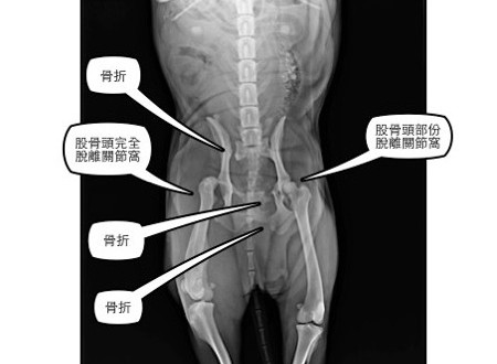 1380943818-2004532057