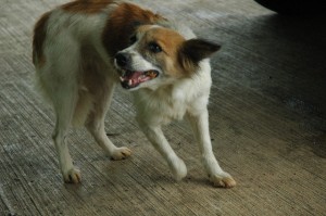 1380943818-505556778