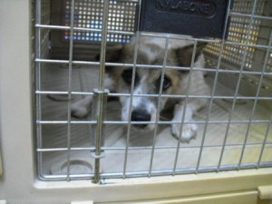 1380943819-1123676115