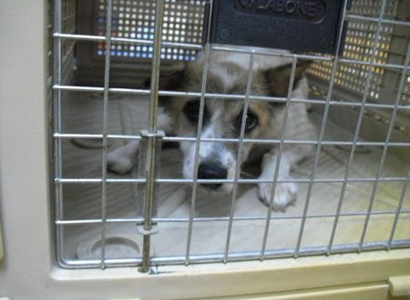 1380943819-1123676115