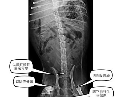 1380943819-2463071407