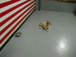 1380943821-212945173