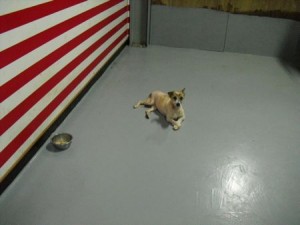 1380943821-4166448323