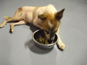 1380943821-4262801117