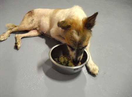 1380943821-4262801117