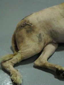 1380943822-2873904925