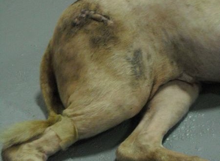 1380943822-2873904925