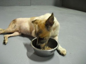 1380943822-3132174648