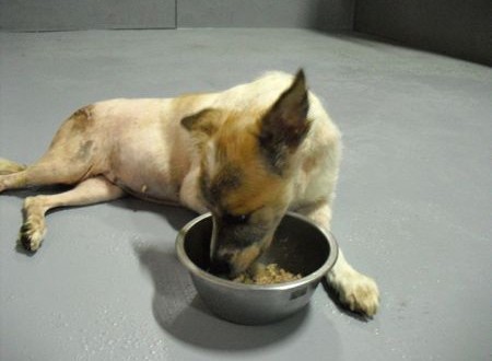 1380943822-3132174648