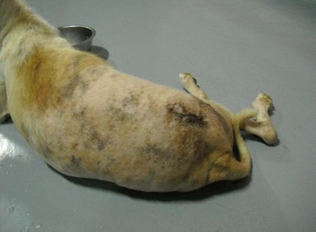 1380943822-3483088852