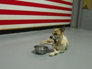 1380943823-2564442844