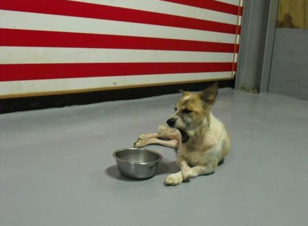 1380943823-2564442844