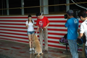 1380943841-1141833580