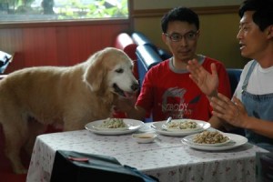 1380943843-3842298354