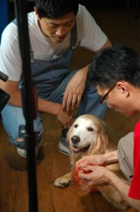 1380943846-1013959032