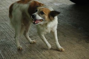 1380943851-1274745089