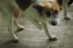 1380943852-4220232787