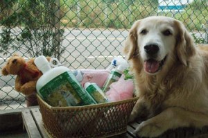 1380943904-4145198427