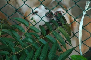 1380943906-2730748926