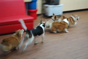 1380943907-2434542243