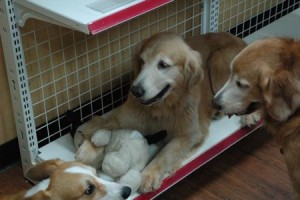 1380943907-2924938619