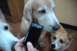 1380943908-2253908364