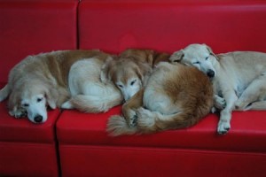 1380943910-1429094578