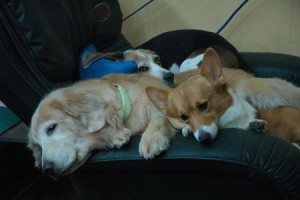 1380943910-3580935460