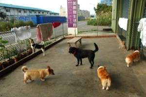 1380943911-3482300498