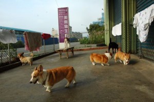 1380943911-777983391