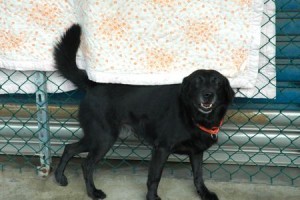 1380943912-3240586496