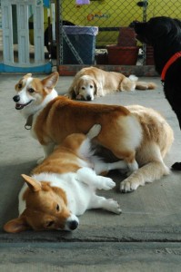 1380943912-679430402