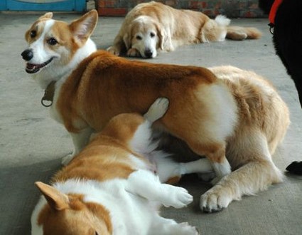 1380943912-679430402