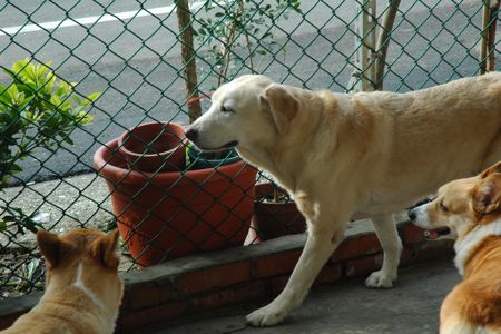 1380943913-1559093544