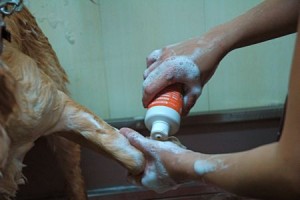 1380943959-3596399087