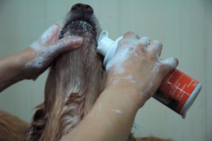 1380943960-2540488511