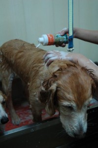 1380943960-3076700655-1