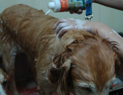 1380943960-3076700655-1