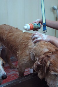 1380943960-784814386