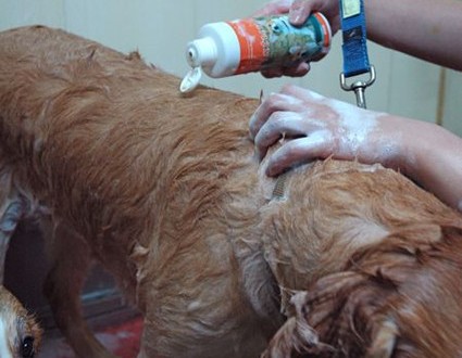 1380943960-784814386