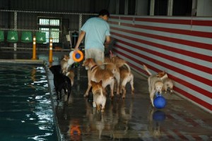 1380943975-2490786178