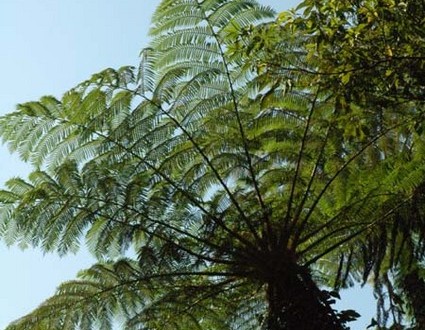 1380943976-3491879768