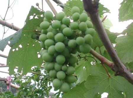 1380943977-3241009092