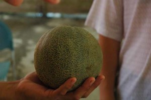 1380943978-2153812907