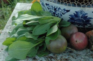 1380943979-1586997580