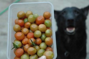 1380943979-384239246